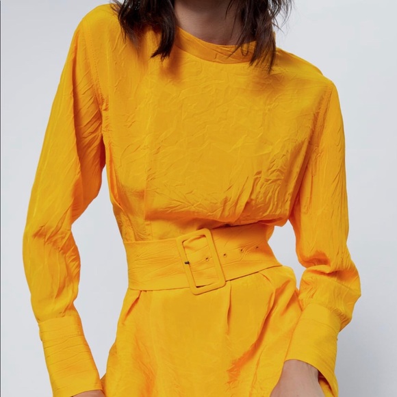 Zara Belted Midi Dress - Picture 4 of 7